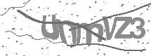 visual captcha